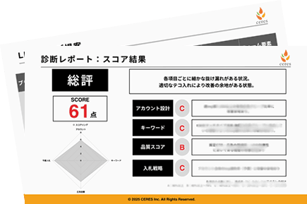 アカウント診断レポートキャプチャ