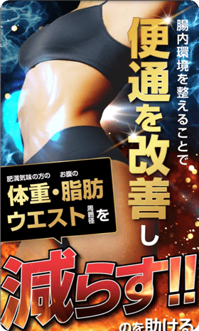 制作実績キャプチャ